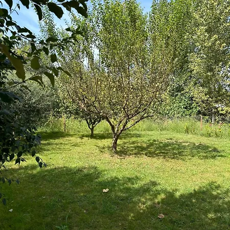 Lexhulo Room's Apartamento Domje