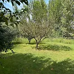 Lexhulo Room's Domje